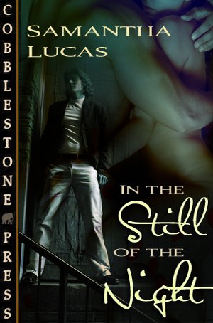 In the Still of the Night Cover Art