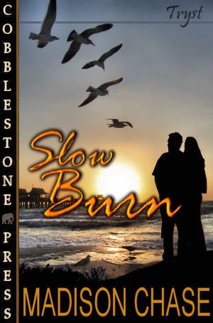 Slow Burn Madison Chase